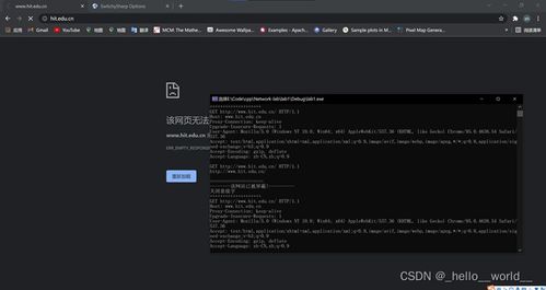 哈工大計(jì)算機(jī)網(wǎng)絡(luò)實(shí)驗(yàn)一 HTTP代理服務(wù)器的設(shè)計(jì)與實(shí)現(xiàn)